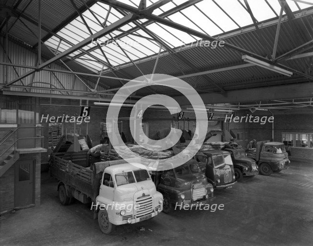 Line up of 1950s lorries at Spillers Animal Foods, Gainsborough, Lincolnshire, 1961.  Artist: Michael Walters