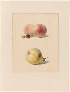 Peach, blackberry and hazelnut and a pear, 1835. Creator: Hendrik Reekers.