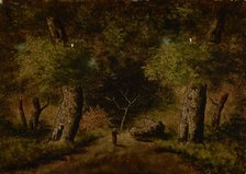 Landscape, second half of 19th century. Creator: Unknown.