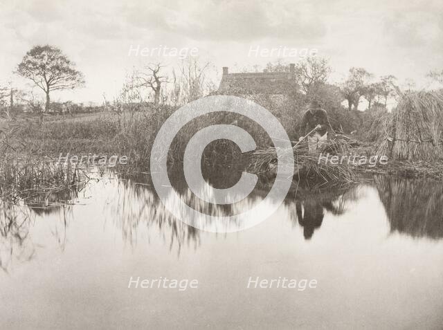 Quanting the Gladdon, 1886. Creator: Peter Henry Emerson.