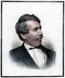 David Livingstone, Scottish missionary and African explorer, 1874. Artist: Unknown