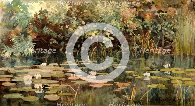 Pond with Water Lilies, Early 1890s. Artist: Polenova, Elena Dmitryevna (1850-1898)