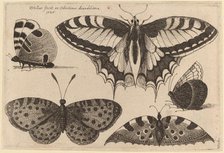Five Butterflies, 1646. Creator: Wenceslaus Hollar.