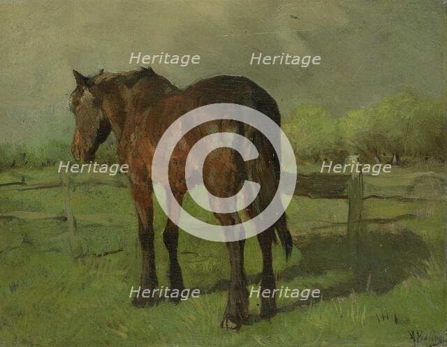Horse, 1860-1888.  Creator: Anton Mauve.