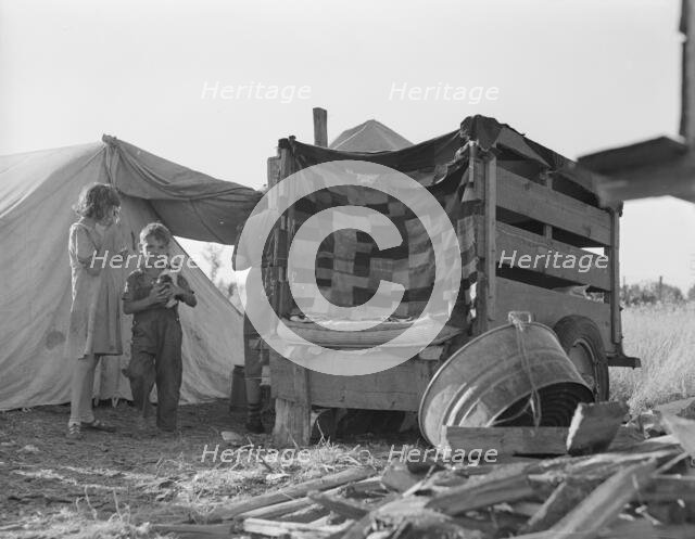 Camp of pickers during bean harvest, West Stayton, Marion County, Oregon, 1939. Creator: Dorothea Lange.
