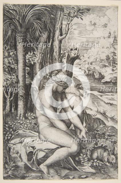 Venus removing a thorn from her left foot while seated on a cloth next to trees, a ..., ca. 1515-27. Creator: Marco Dente.