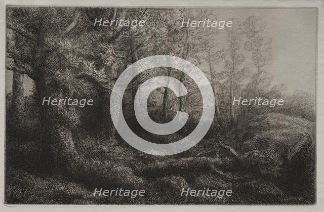 A Woodland Study. Creator: Alphonse Legros (French, 1837-1911).