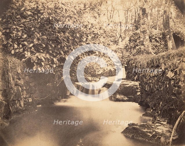 View in the Gardens at Netherley, ca. 1856-59. Creator: Horatio Ross.