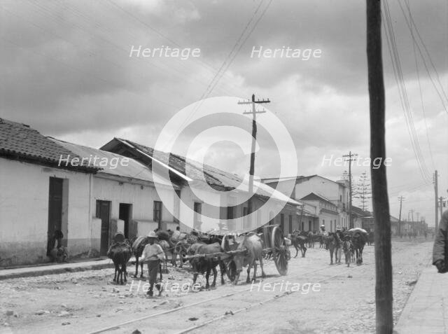Travel views of Cuba and Guatemala, between 1899 and 1926. Creator: Arnold Genthe.