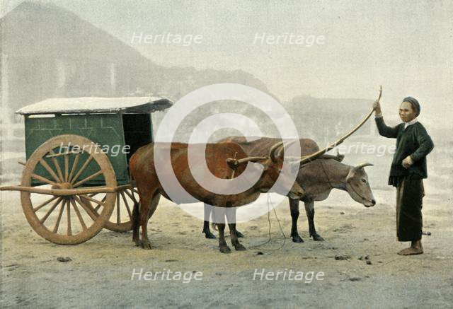 'Attelage Annamite', (Annamite Yoke), 1900. Creator: Unknown.
