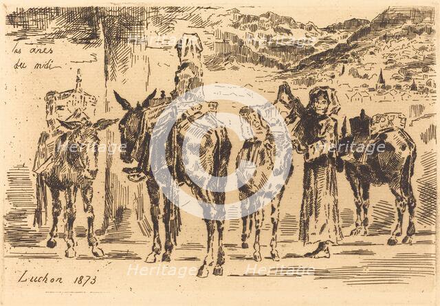 Feuilles d'Anes du Midi, 1873. Creator: Felix Hilaire Buhot.