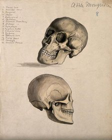 A skull: two figures, 1880. Creator: Adele Mongredien.