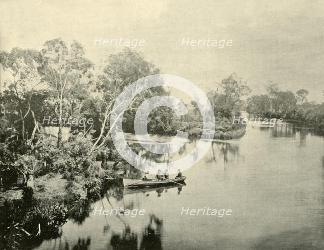 'Junction of the Glengarry & Thompson Rivers, Victoria', 1901. Creator: Unknown.