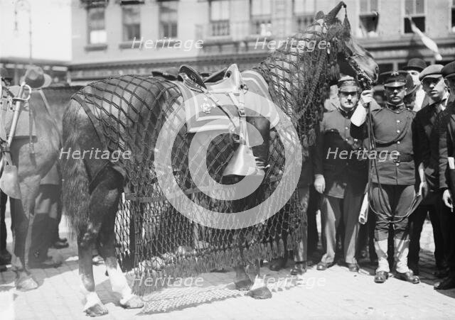 Gen. Grant's horse, 1912. Creator: Bain News Service.