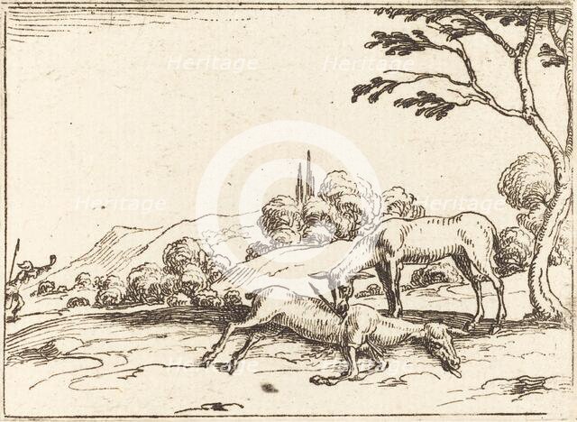 Doe Mourning her Foal. Creator: Jacques Callot.