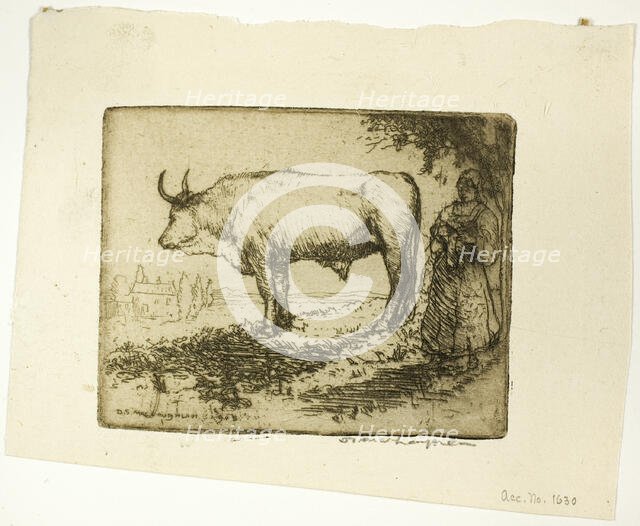 The White Ox, 1905. Creator: Donald Shaw MacLaughlan.