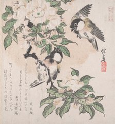 Spring Rain Collection (Harusame shu), vol. 3: Marsh-tits and Crab Apple Flowers, ca. ..., ca. 1820. Creator: Hokuba.
