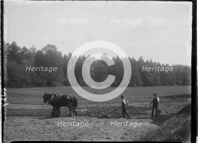 Frensham, Waverley, Surrey, 1909. Creator: Katherine Jean Macfee.