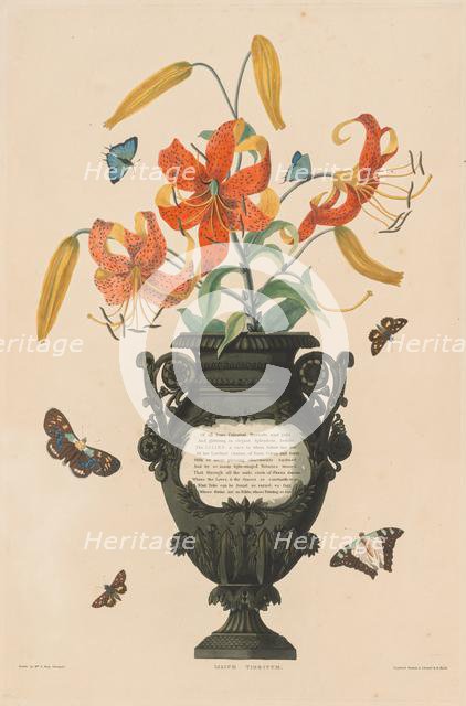 A Selection of Hexandrian Plants...: Tiger Lily, 1831-1832. Creator: Robert Havell (British, 1769-1832).