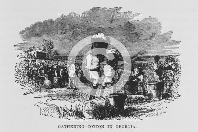Gathering cotton in Georgia, 1882. Creator: Unknown.