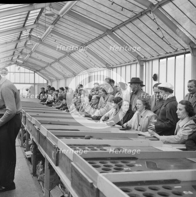 Skegness, East Lindsey, Lincolnshire, 22/05/1954. Creator: John Laing plc.