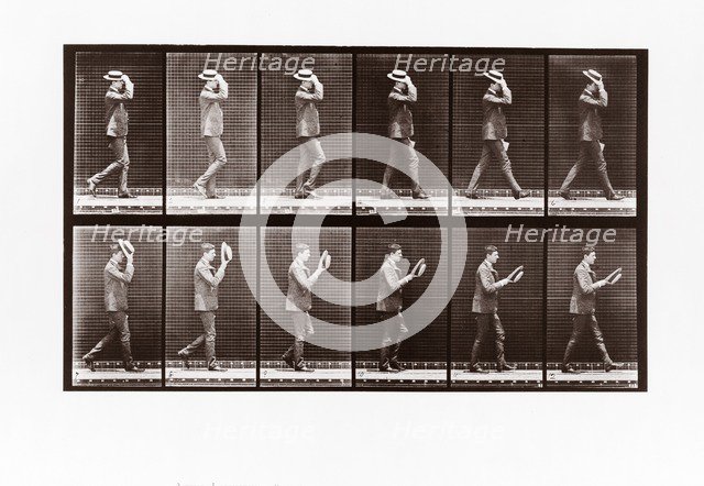 Man doffing his boater, Plate 44 from Animal Locomotion, 1887 (photograph)