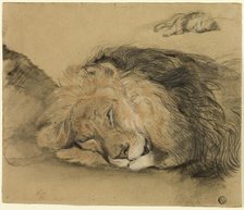 Lion's Head and Sketch of a Lion, n.d. Creator: Charles Edme Saint-Marcel-Cabin.