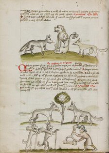 Fox and Wolf before a Lion: Two Wolves under a Tree Dragging Bales..., third quarter of 15th cent. Creator: Unknown.