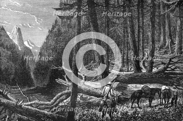 Riding through the forest, British Columbia, Canada, 19th century.Artist: Leitch