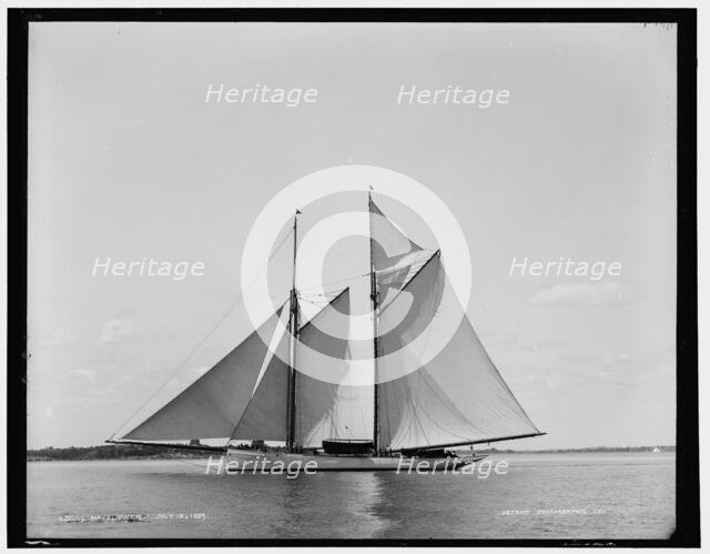 Mayflower, 1889 July 15. Creator: Unknown.