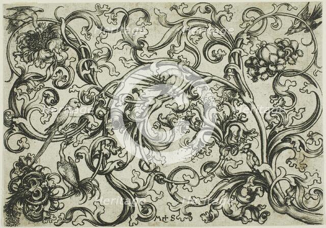 Vine Ornament with Birds, n.d. Creator: Martin Schongauer.