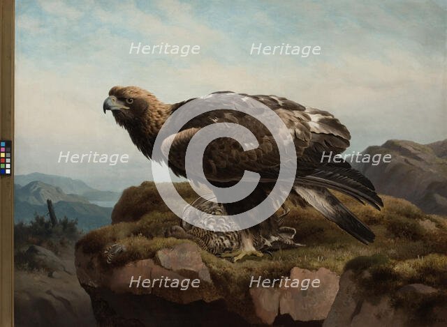 Golden Eagle at a Cliff's Edge, 1880. Creator: Ferdinand von Wright.