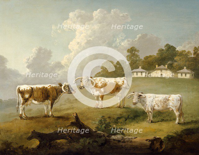 'Three Long-horned Cattle at Kenwood', 1797. Artist: Julius Caesar Ibbetson.