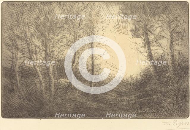 Sunrise, Woods of Clamard (Lever du soleil, bois de Clamard). Creator: Alphonse Legros.