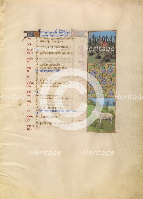 March Calendar Page; Planting; Aries; Katherine Hours, about 1480-1485. Creator: Unknown.