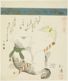 Cat Playing with a Toy Butterfly, from the series "Thirty-six Pictures of Birds (Sanjuroku..., 1828. Creator: Totoya Hokkei.