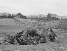 Stump pile, ready to burn, house, barn, and farm buildings, Unruf farm, Boundary County, Idaho, 1939 Creator: Dorothea Lange.