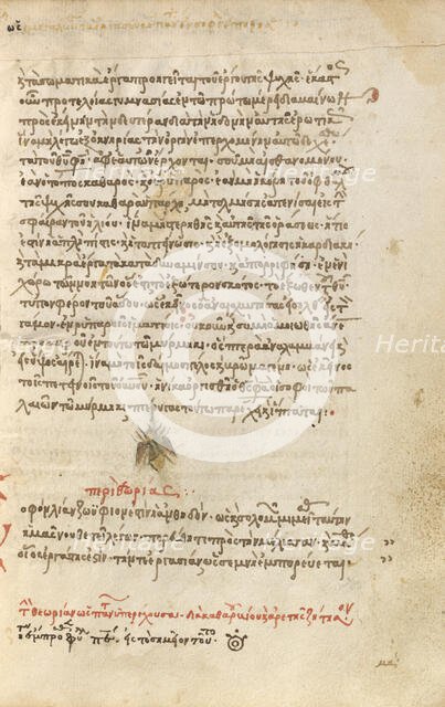 A Bee, 1510-1520. Creator: Unknown.