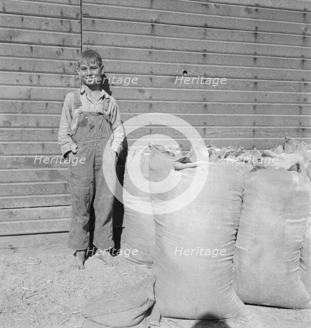 Possibly: One of the younger Cleaver boys on new farm in Malheur County, Oregon, 1939. Creator: Dorothea Lange.