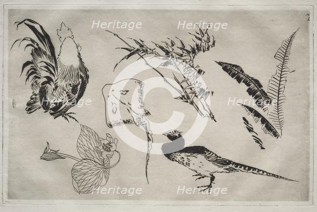 Dinner Service (Rousseau service): Roosters, skate, plants, etc. (no. 9), 1866. Creator: Félix Bracquemond (French, 1833-1914).