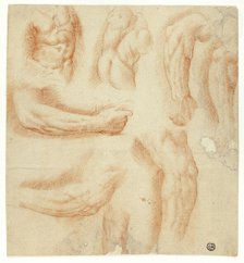 Sketches of Arms, Male Torso, and Back, n.d. Creator: Unknown.