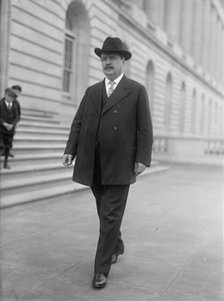 William A. Rodenberg, Rep. from Illinois, 1913.  Creator: Harris & Ewing.