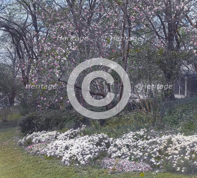 "Lyndhurst," Finley Johnson Shepard house, 635 South Broadway, Tarrytown, New York., c1914. Creator: Frances Benjamin Johnston.