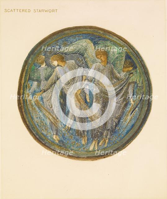 The Flower Book - Scattered Starwort, 1905. Creator: Sir Edward Coley Burne-Jones.