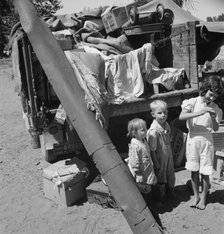 Migratory children living in "Rambler's Park", Yakima Valley, Washington, 1939. Creator: Dorothea Lange.
