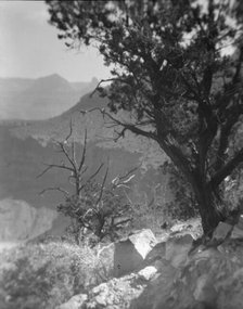 Grand Canyon, Arizona, between 1899 and 1928. Creator: Arnold Genthe.