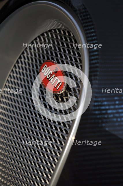 2009 Bugatti Veyron Sang Bleu Artist: Unknown.