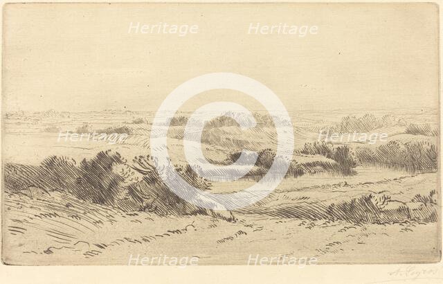 Banks of the Yanne (Les bords de la Yanne). Creator: Alphonse Legros.