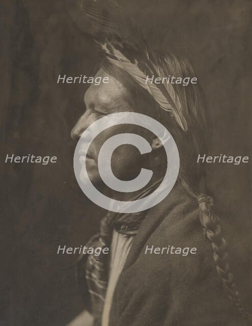 Pine Tree, 1905. Creator: Edward Sheriff Curtis.