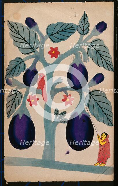 A woman pulling giant aubergines from a tree. Creator: Unknown.